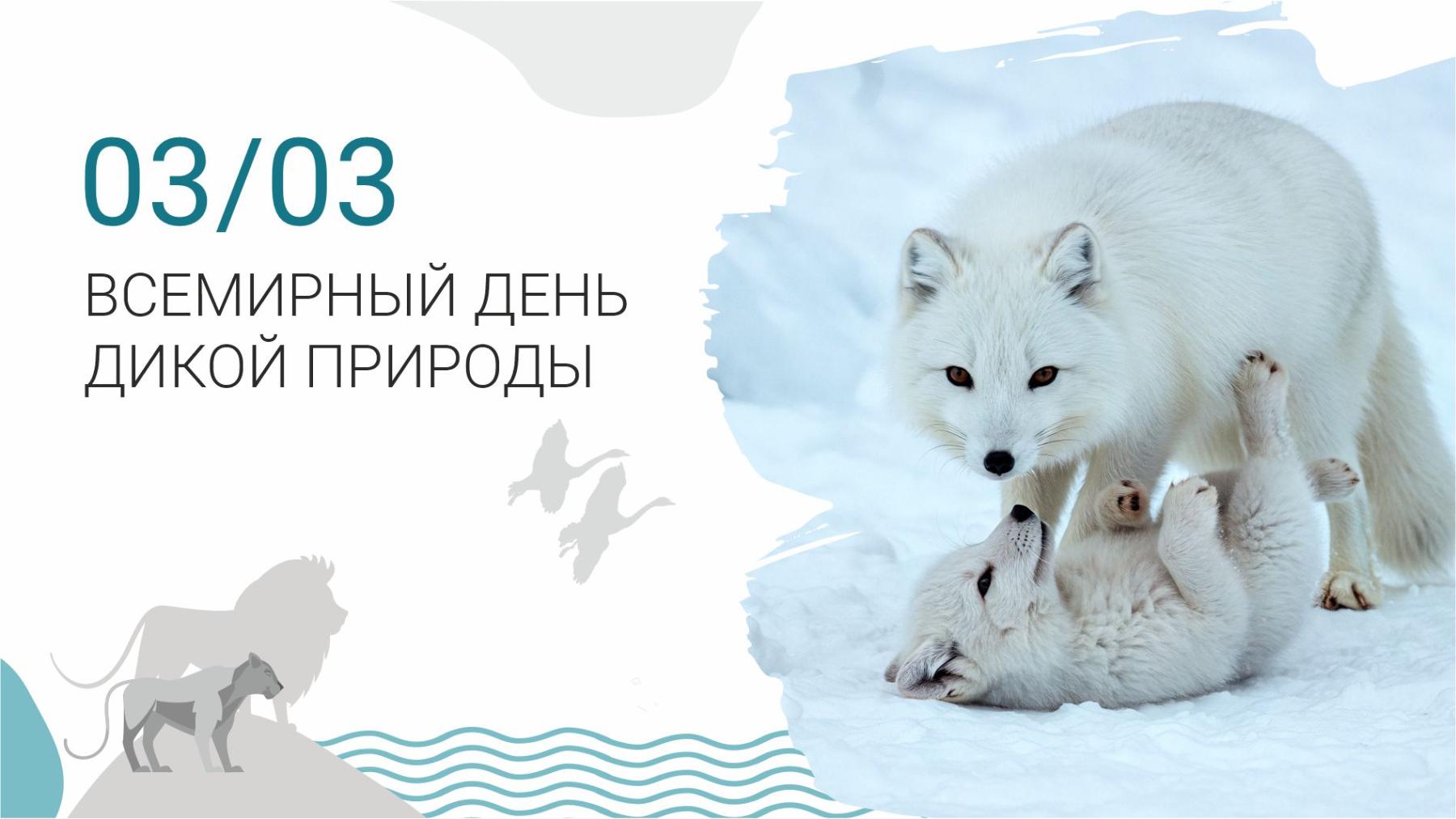 3 марта - день дикой природы